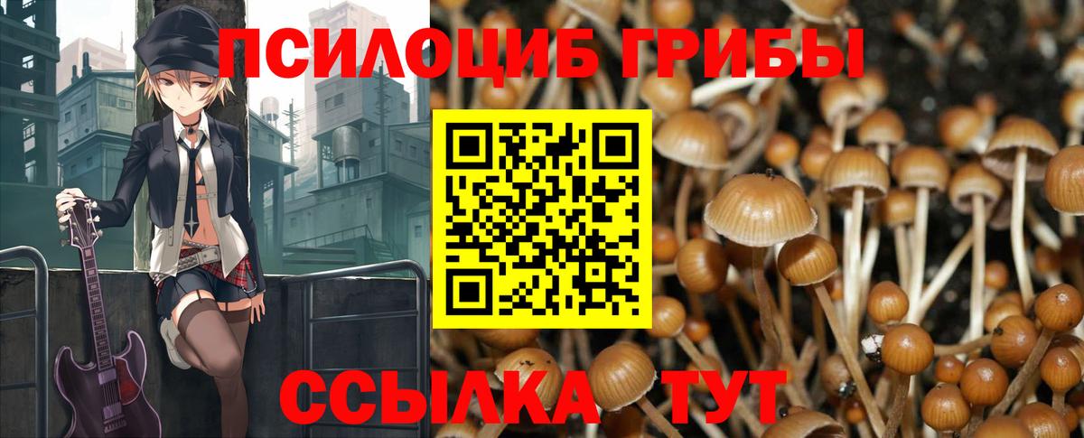 Галлюциногенные грибы прущие грибы  Вход с VPN  Псилоцибиновые грибы MAGIC MUSHROOMS  Избербаш 
