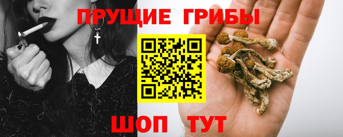 Галлюциногенные грибы прущие грибы Избербаш