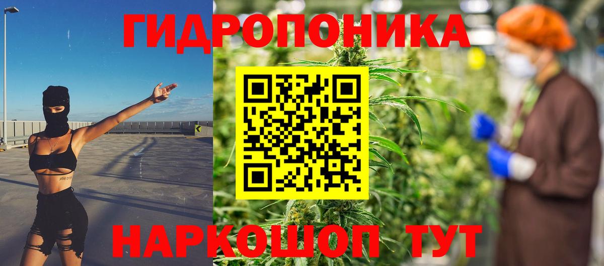 Избербаш  Бошки Шишки SATIVA & INDICA  Шишки марихуана марихуана  Шишки марихуана план  Вход с VPN 